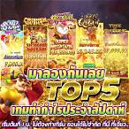 ทดลองเล่นสล็อตรวมทุกค่าย